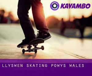 Llyswen skating (Powys, Wales)