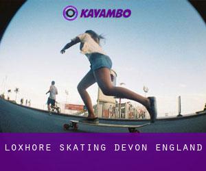 Loxhore skating (Devon, England)