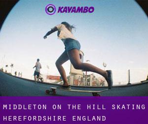 Middleton on the Hill skating (Herefordshire, England)