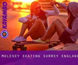 Molesey skating (Surrey, England)